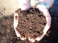 Házi komposztálás bevezetése Tolmács, Nógrád és Berkenye településeken