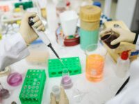 In vitro enzimatikus reakció-mentes DNS auto-klónozó rendszerek kifejlesztése és piaci bevezetése